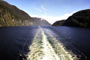 FIORDLAND-NATIONAL-PARK-2019 (245)